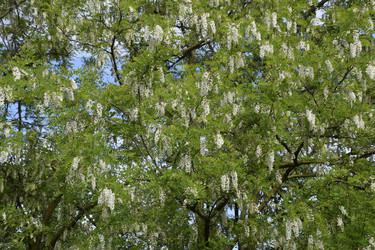 Similar image 21234959