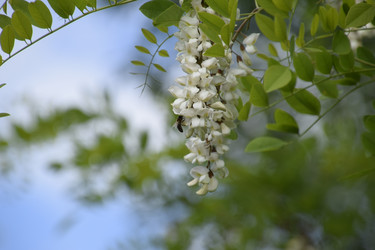 Similar image 21234974