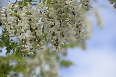 Similar image 21234976