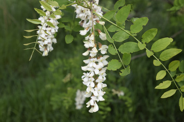 Similar image 21234979