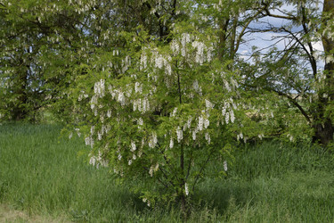 Similar image 21234981