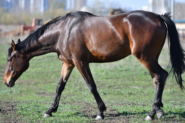 Similar image 21234876