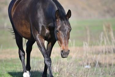 Similar image 21234877