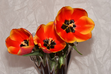 Similar image 21246894