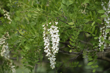 Similar image 21248438