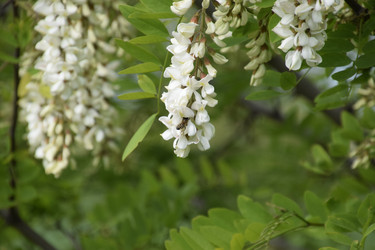 Similar image 21248572