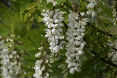 Similar image 21248573