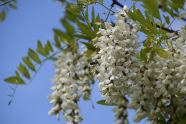 Similar image 21248574