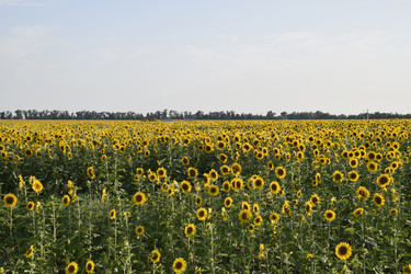 Similar image 21248801