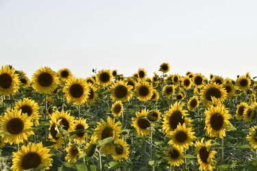 Similar image 21248804