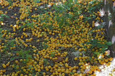 Similar image 21248805