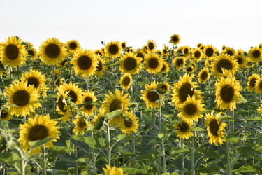 Similar image 21248806