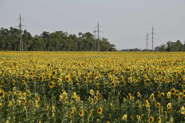 Similar image 21234910