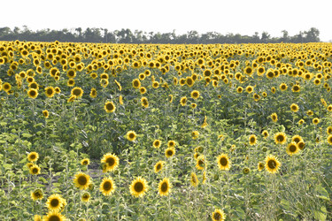 Similar image 21234911