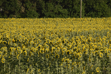 Similar image 21234913