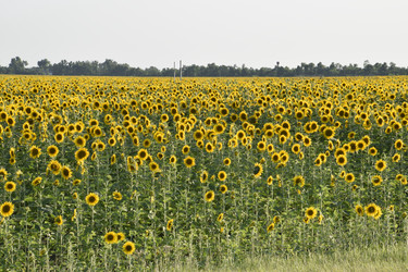 Similar image 21234914