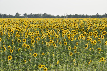 Similar image 21234915