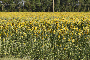 Similar image 21234942