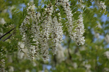 Similar image 21234991