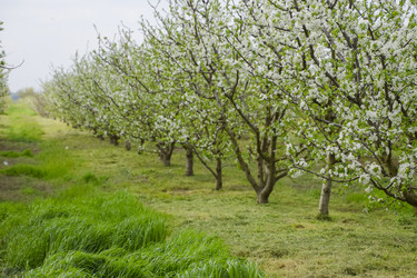 Similar image 21242083