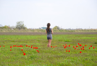 Similar image 21248810