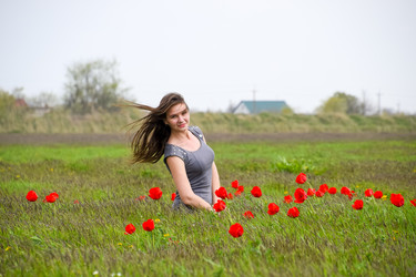 Similar image 21221274