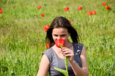 Similar image 21248458