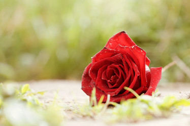 Similar image 21226231