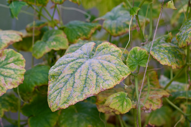 Similar image 21226233