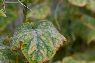 Similar image 21211367