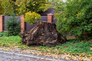 Similar image 21211494