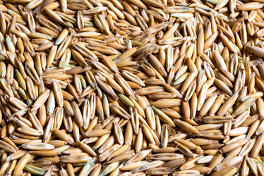 Similar image 21226236