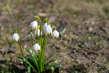 Similar image 21226243