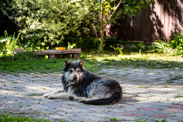 Similar image 21216900