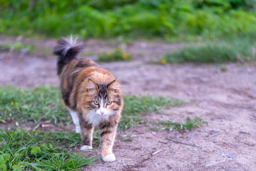 Similar image 21211371