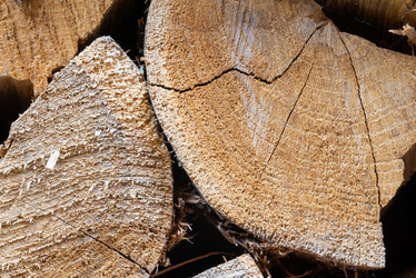 Similar image 21211499