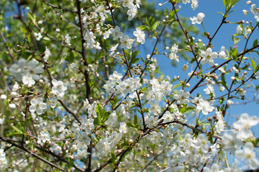 Similar image 21211503