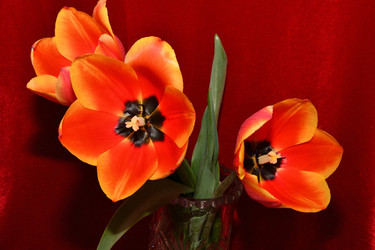 Similar image 21220923