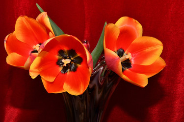 Similar image 21220925