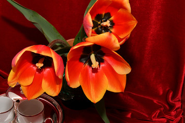 Similar image 21220927