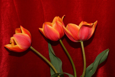 Similar image 21220931