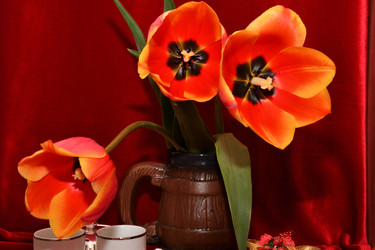 Similar image 21220932