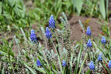 Similar image 21220935