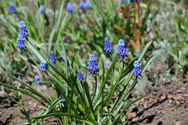 Similar image 21220936