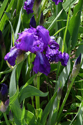 Similar image 21220937