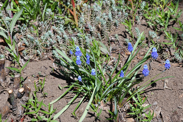 Similar image 21220941