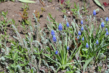 Similar image 21220942