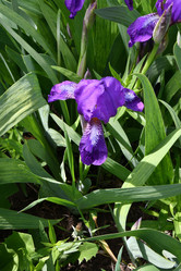 Similar image 21225719