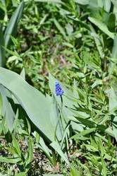 Similar image 21225720