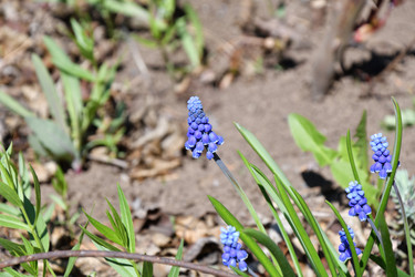 Similar image 21225722